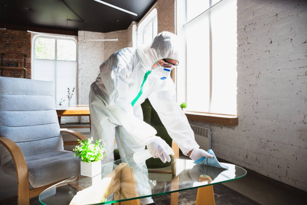 Why You Should Choose Our Mold Remediation Services in Spencer, IA